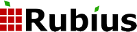 Rubius Company Electrical Suite (подписка МЗ), Professional