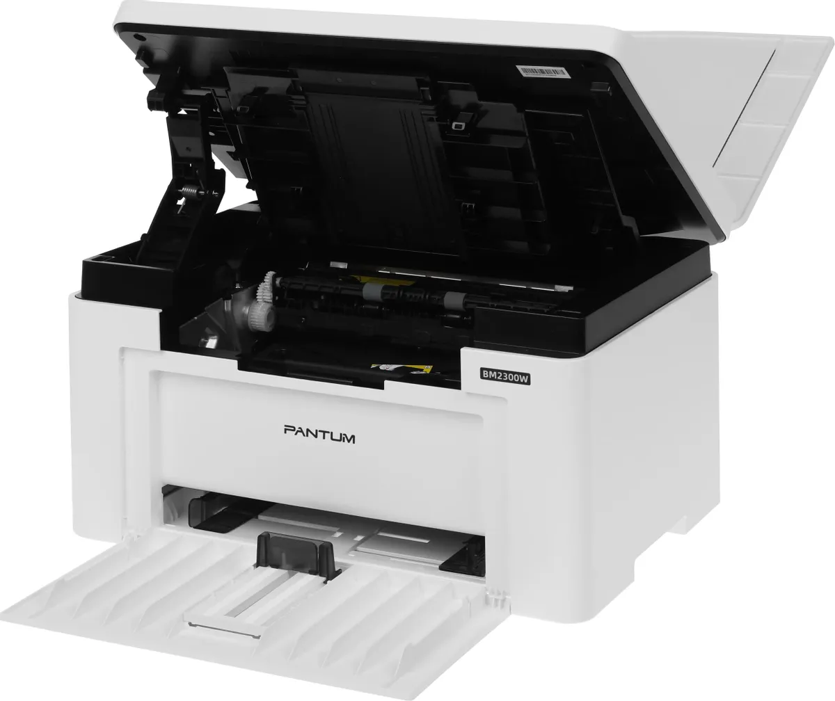 PANTUM BM2300W