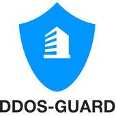 Решение DDoS-Guard для Защиты сайтов