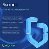 SkyDNS.Бизнес