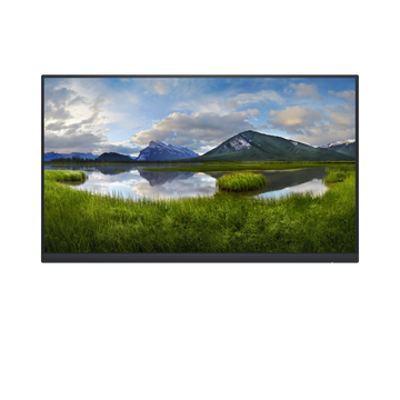 Монитор Dell Technologies P2422H 23.8-inch черный