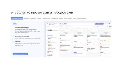 ООО «ВИИИК» WEEEK (лицензия Professional на 1 месяц / члена команды), цена за 1 лицензию