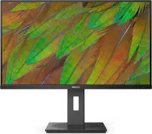 Монитор Philips 32B1N3800 31.5-inch черный