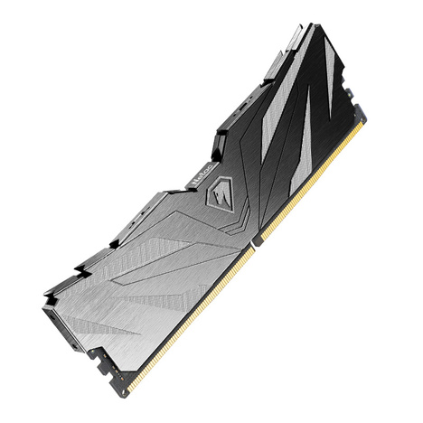 Оперативная память Netac DDR5  16GB, NTSWD5P60SP-16K