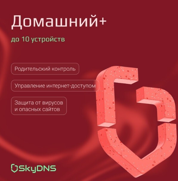 Родительский контроль («SkyDNS.Домашний+»)