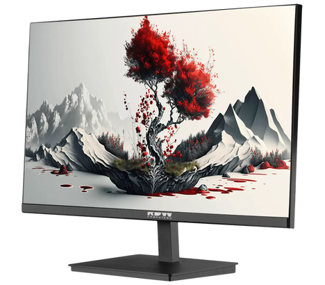 Монитор RDW COMPUTERS RDW2401K 23.8-inch черный