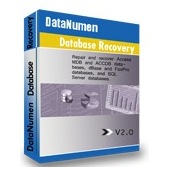 DataNumen Database Recovery 2.0