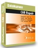 DataNumen Inc. CAB Repair (лицензия)