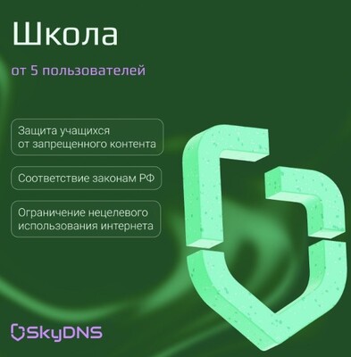SkyDNS.Школа (тариф на 3 года), 85 ПК