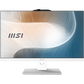 Моноблок MSI 1M-1025XRU 512 ΓБ
