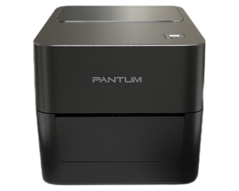 Принтер PANTUM auto_model