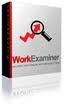 Лицензия Work Examiner Professional,