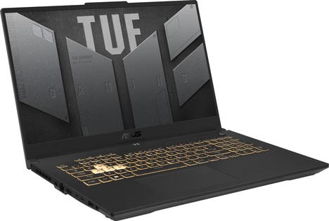 Ноутбук ASUS FX707VI-HX106 Intel Core i7-13620H (темно-серый)