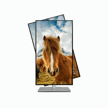 Монитор ASUS PA27AC 27.0-inch черный