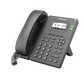 IP-телефон Flyingvoice P20 (P/G)