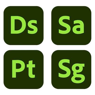 Adobe Systems Adobe Substance 3D Collection (продление for enterprise Multiple Platforms Multi European Languages, 100 Assets per Month, VIP Select 3 year commit Government),