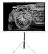 

Экран Cactus Triscreen CS-PST-124X221