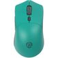 Мышь Raskat Мышь MG009WR, цвет зеленый