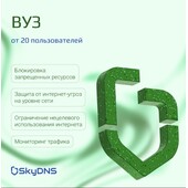 SkyDNS.ВУЗ