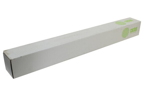 Бумага белый Cactus CS-PP230-61030