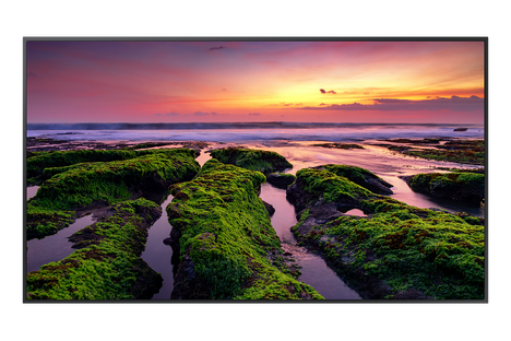 Монитор Samsung QB75B 75.0-inch черный