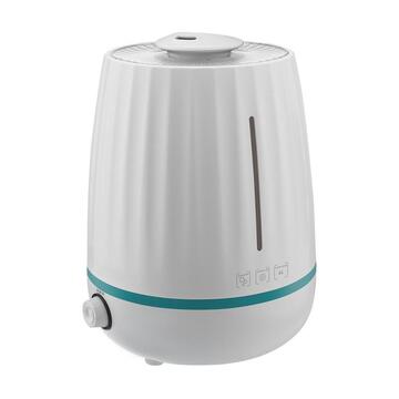 Scarlett SC-AH986M20