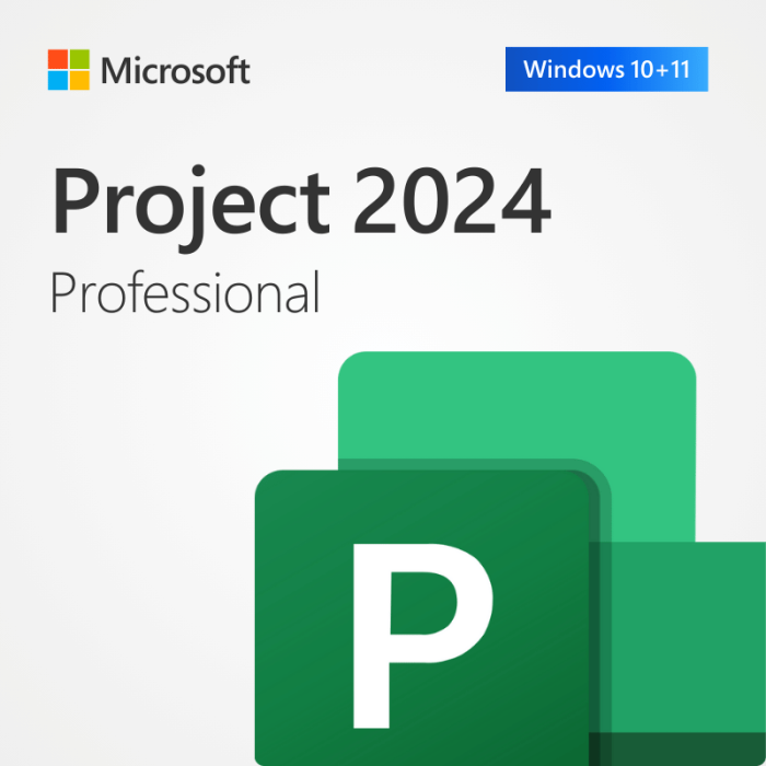 Microsoft Project Professional 2024