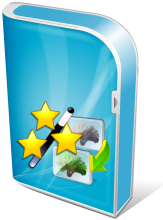 TMS Software Team TMS GUIMotions (лицензия), Лицензия Single Developer