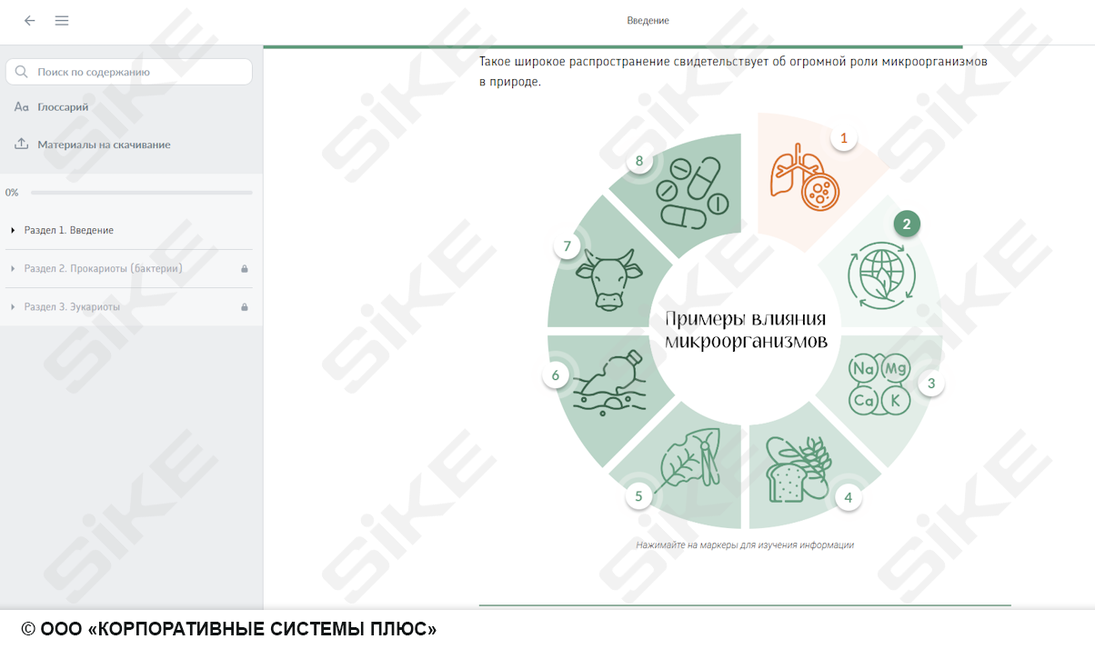 Sike. Электронный курс «Общая микробиология ГЛАВА 1. Морфология и классификация микроорганизмов»
