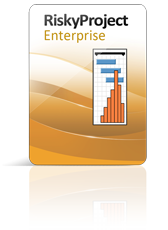 Intaver Institute Inc. Intaver RiskyProject (постоянная лицензия), Enterprise Server