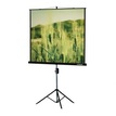 

Экран Lumien MASTER View