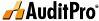 AuditPro Базовая версия (обновления на 1 год),