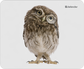 Defender Wild Animals 50803