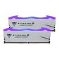 Оперативная память Patriot Viper Xtreme 5 RGB DDR5 MPOWER DDR5 6000MHz 2x24GB, PVXR548G60C30KM, RTL