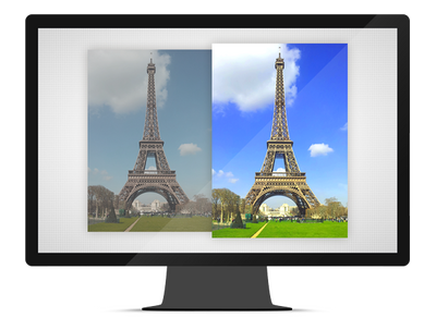 ORPALIS GdPictureNET Image SDK (техподдержка на 1 год), Лицензия Site
