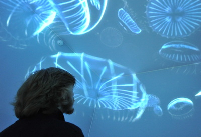 OC3 ОСӠ, Кубосвод 2.1 (коробочная версия, включающая электронные лицензии на 1 рабочее место на 5 лет),