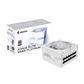 Блок питания Gigabyte AORUS ELITE P850W 80+ Platinum Modular PCIe 5.0 ICE
