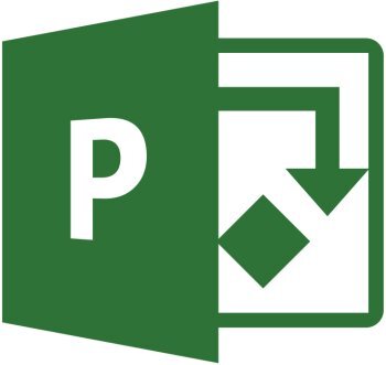 Microsoft Project Professional 2019, Government OLP (with Project Server CAL), Single Language