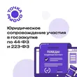 Юридическое сопровождение участия в госзакупке по 44-ФЗ и 223-ФЗ (пакет)