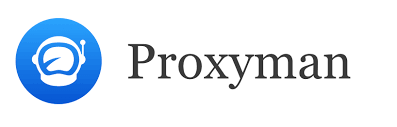 Proxyman LLC Proxyman (подписка на 1 год), Team per seat billed yearly