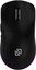 Мышь Oklick Мышь 900GMW 2028946, цвет черный