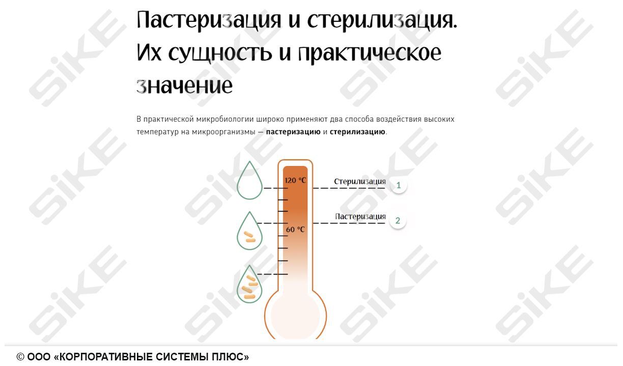 Sike. Электронный курс «Общая микробиология ГЛАВА 3. Экология микроорганизмов»