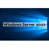 Microsoft Windows Server CAL 2022