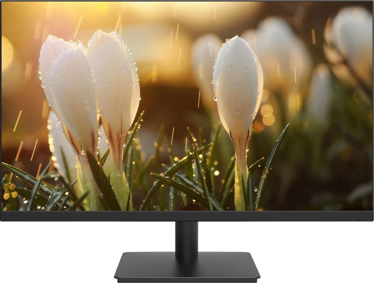 Монитор Dahua LM24-A201A 23.8-inch черный