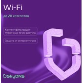 SkyDNS.Wi-Fi