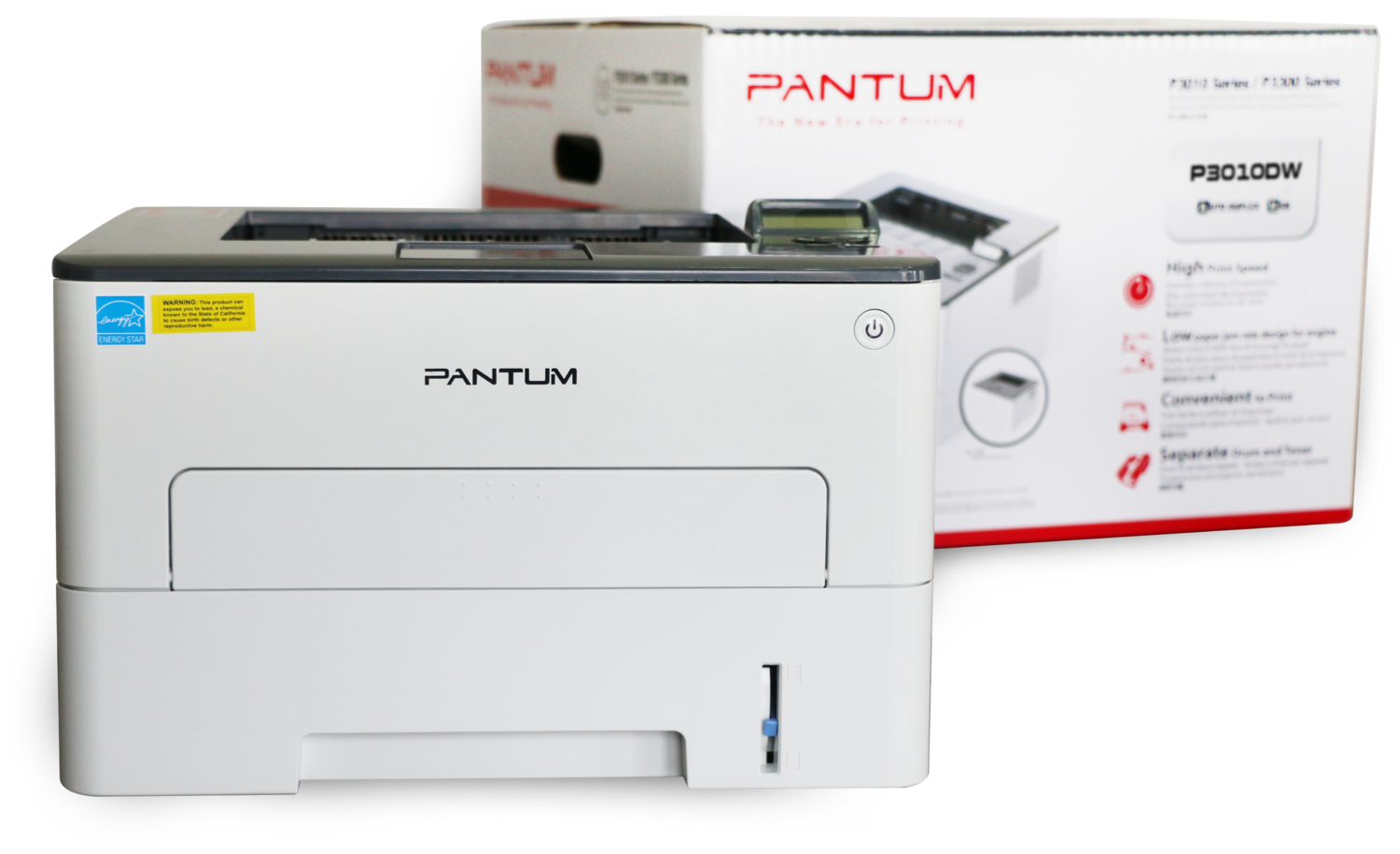 PANTUM P3010DW