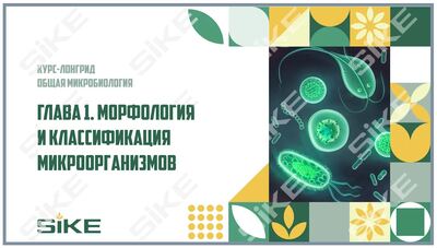 ООО «Корпоративные системы Плюс» Электронный курс Общая микробиология ГЛАВА 1, Морфология и классификация микроорганизмов (лицензия), базовая версия