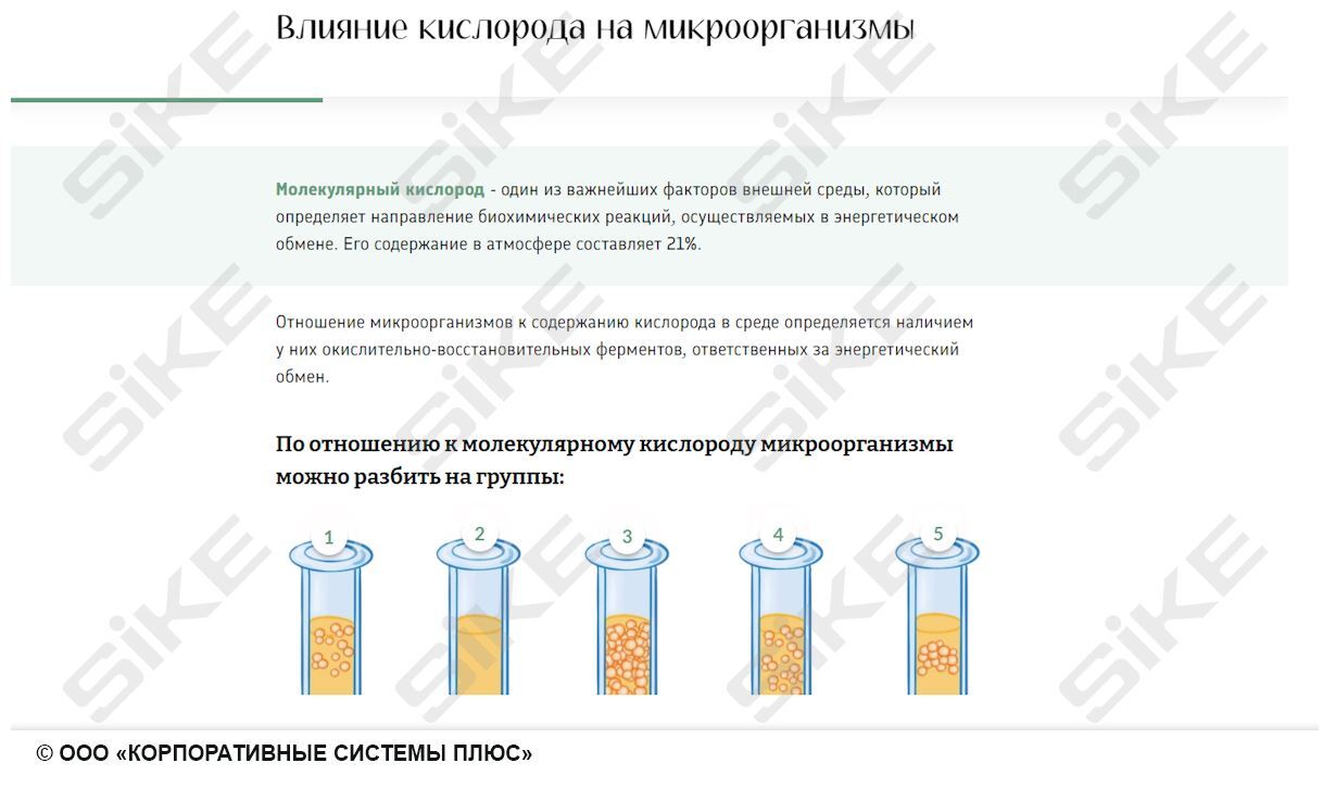 Sike. Электронный курс «Общая микробиология ГЛАВА 3. Экология микроорганизмов»