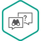 Kaspersky Ask the Analyst