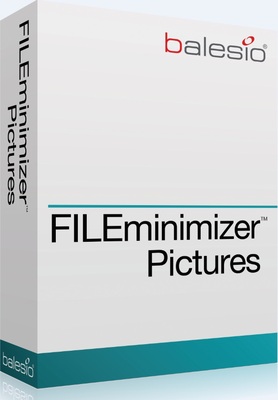 balesio AG FILEminimizer Pictures (поддержка Premium Pack), Количество пользователей